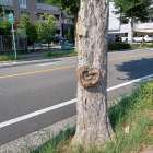 ちょっと可愛い物を見つけました! 